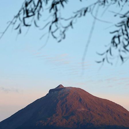 Cantinho Dos Cagarros Lajes do Pico Exteriör bild